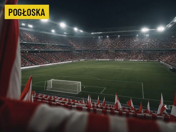 Według Interii PZPN stracił kilku sponsorów, wśród nich Leroy Merlin